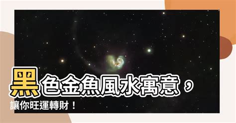 黑色金魚|黑色金魚的風水寓意 ：你知道嗎？【黑色金魚的風水寓意】 – 香。